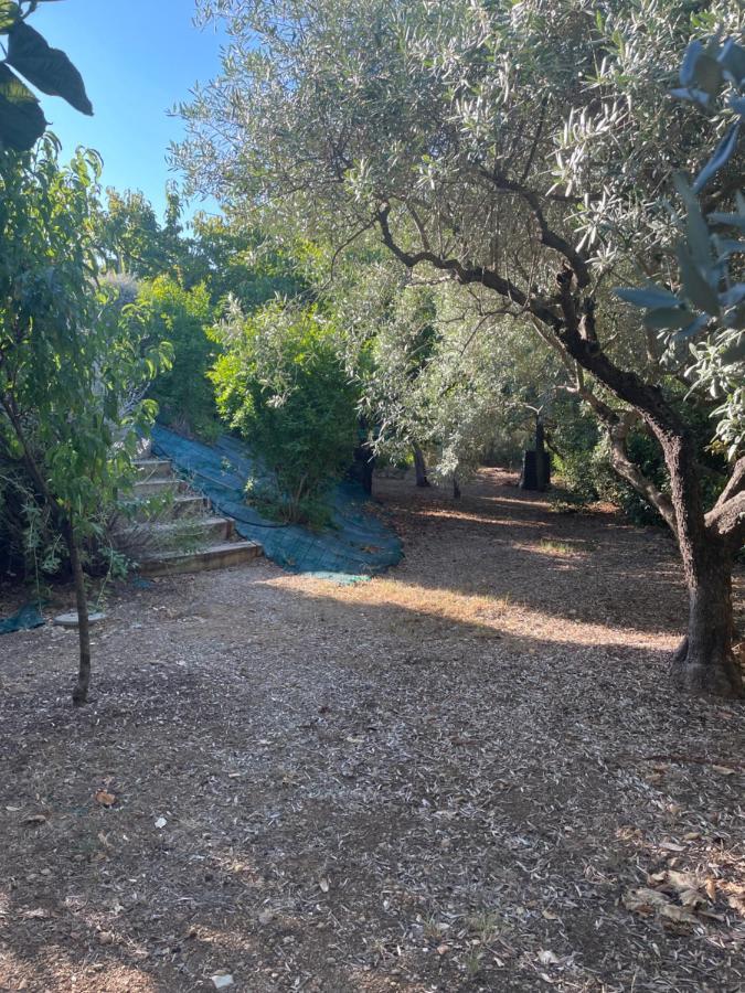 Villa 180 M2 Piscine Draguignan Dış mekan fotoğraf